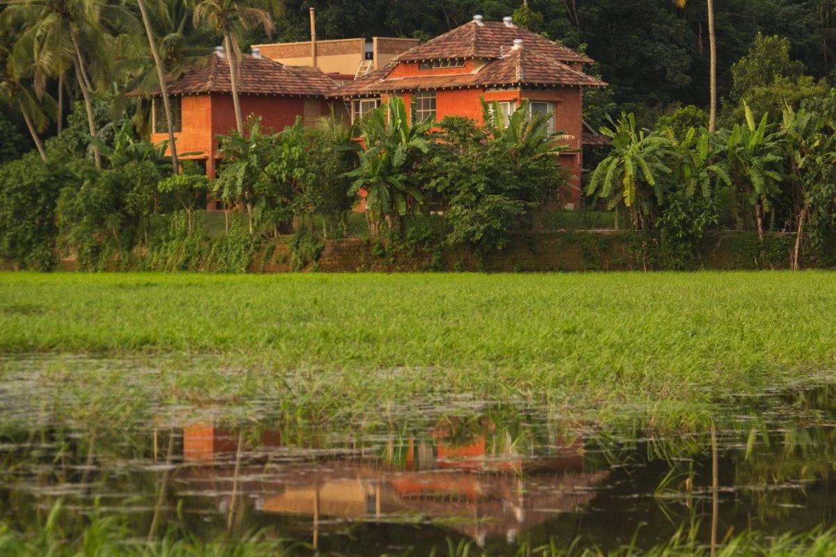 നിലം,പുരയിടം; വസ്തു തരംമാറ്റം എങ്ങനെ? കൂടുതൽ അറിയാം.